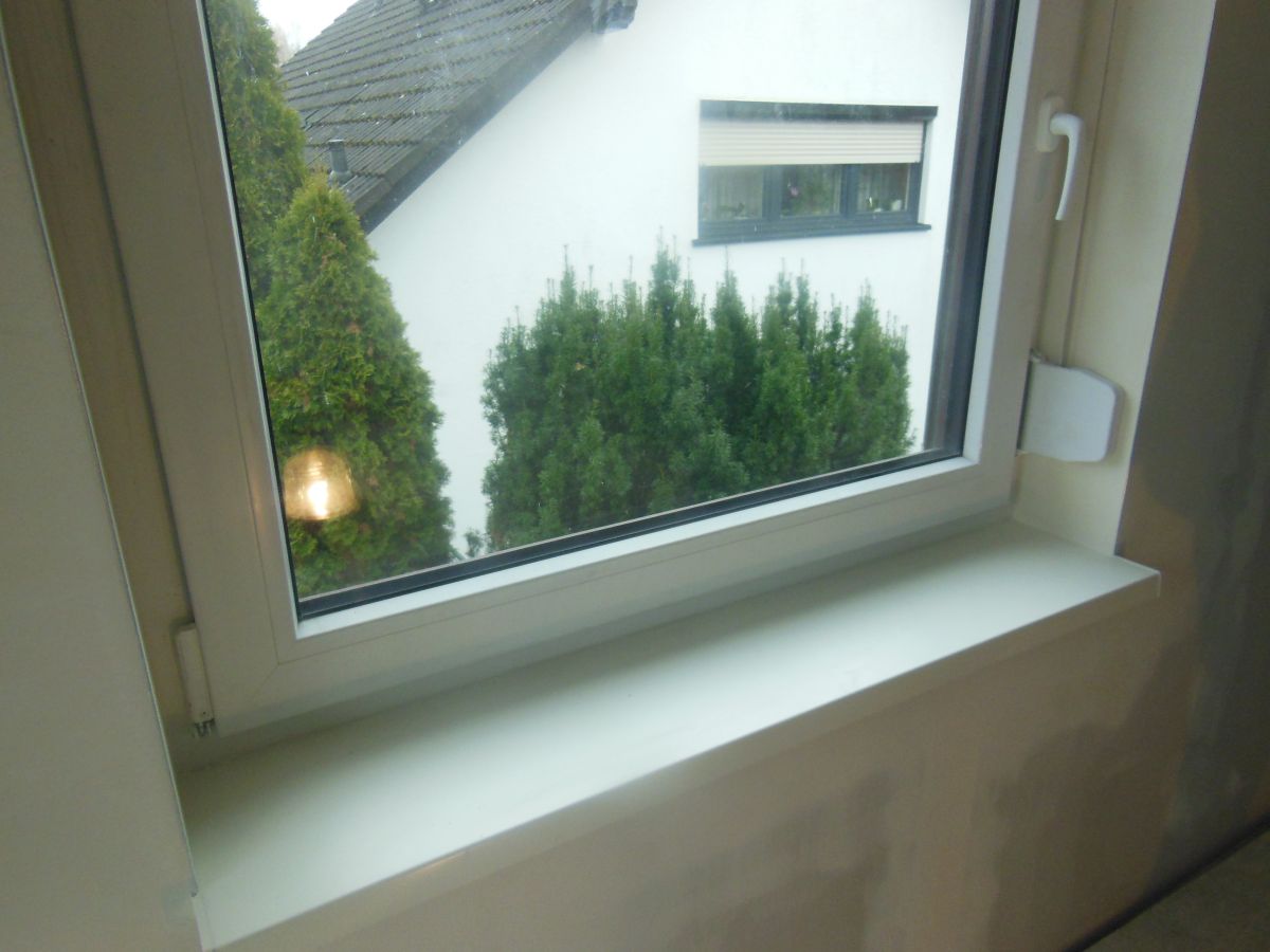 Ausbau Dachgeschoss Vögel - Fenster mit Fensterbank